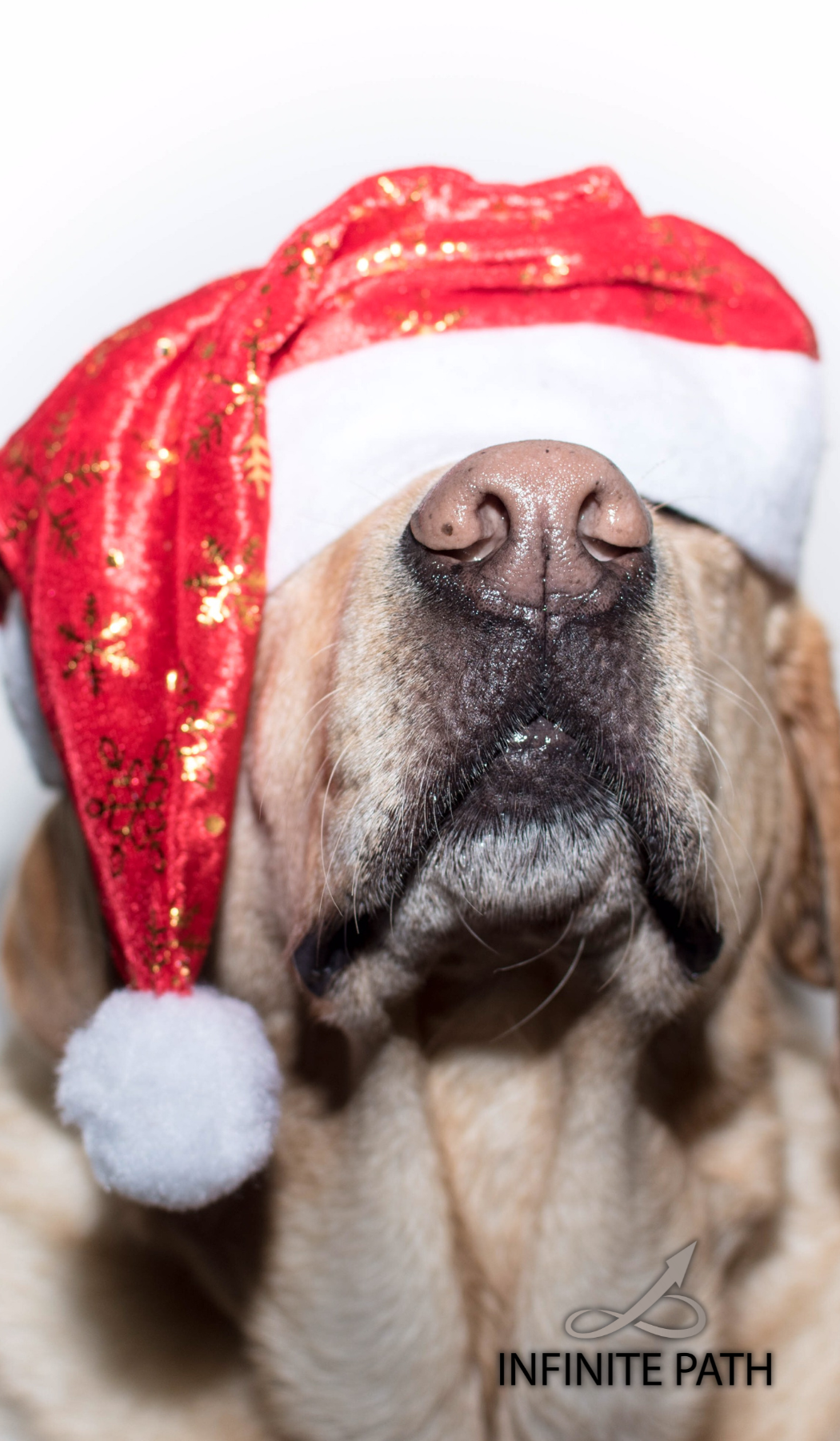 Untitled (3.5 x 6 in) (3)